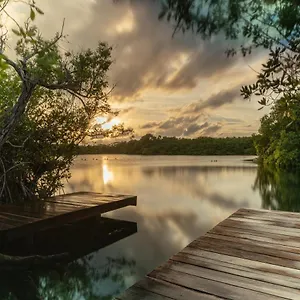Lodge Yaxchen & Cenote Tulum